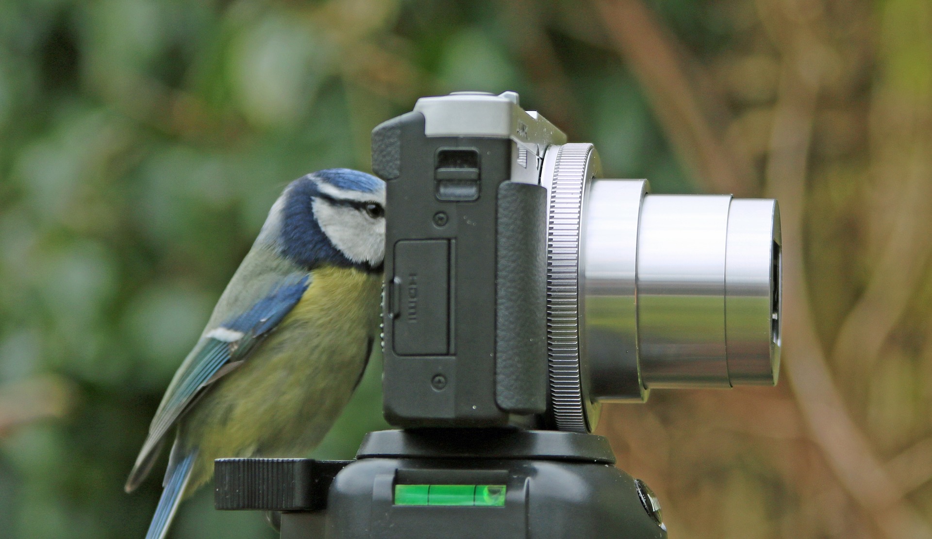 Grow Your Flock: 5 Tips for Using Media on Twitter