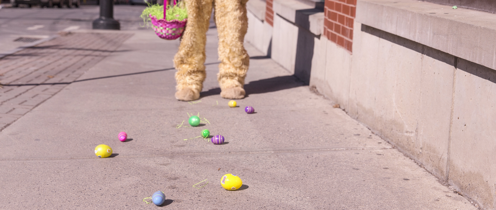 9 Internet Easter Eggs I Learned from Allen Day