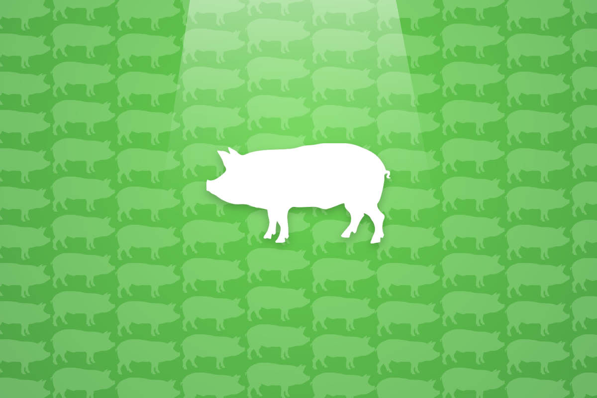 Fighting Swine: 3 Ways to Keep Your Pigs in the Pen
