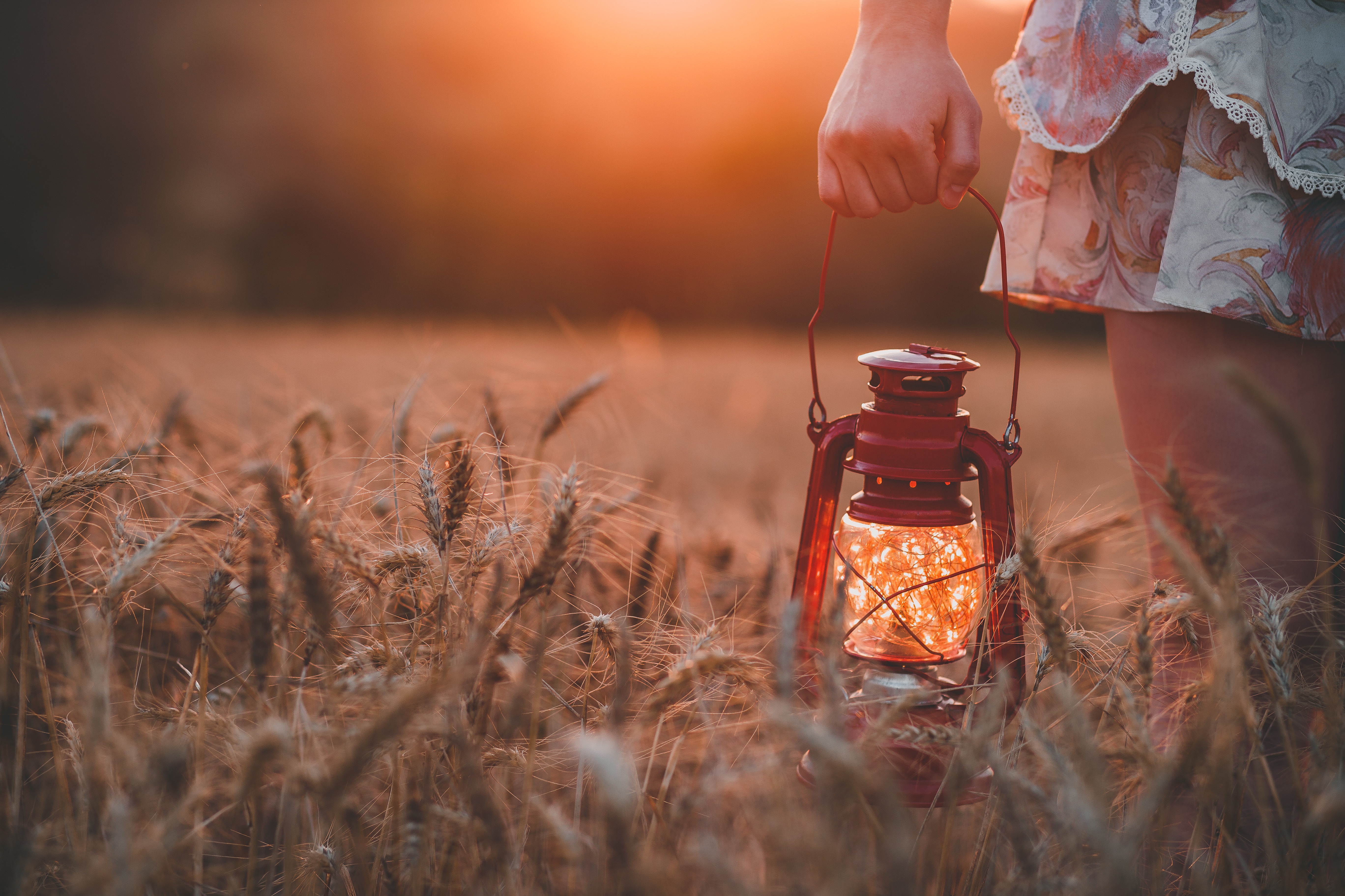 Hand holding jar with fireflies at sunset