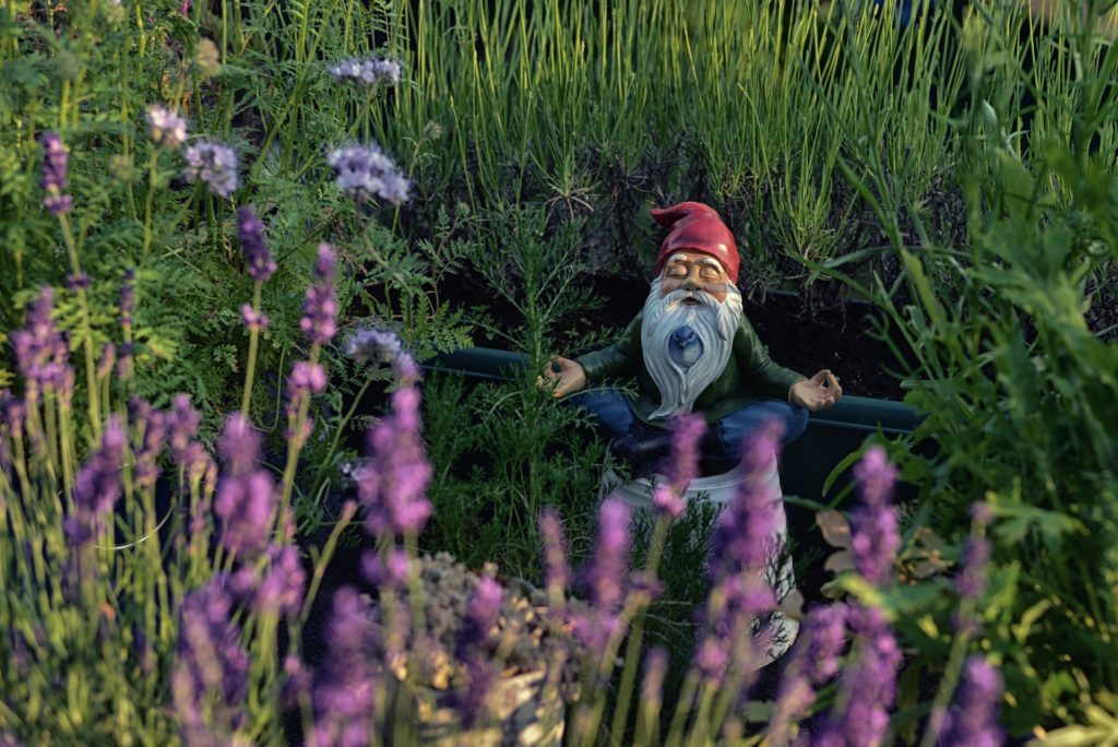 Gnome in garden, showing why you sometimes need a content break