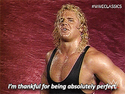 Who is Curt Hennig kidding? If anybody is absolutely perfect it's Bret Hart.