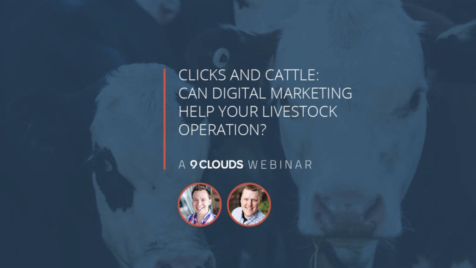 [Webinar] Clicks and Cattle: Would Digital Marketing Help Your Livestock Operation?
