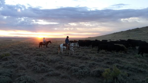 Ranchers with a lovely sunset