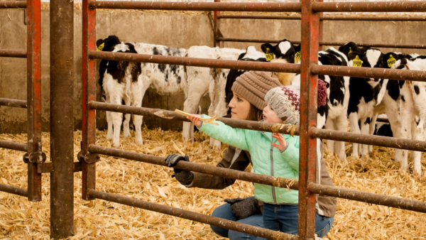 3 Myths About Taking the Family Farm or Ranch Online
