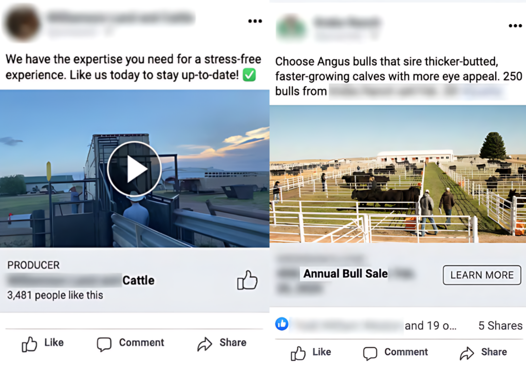 
facebook livestock video ads